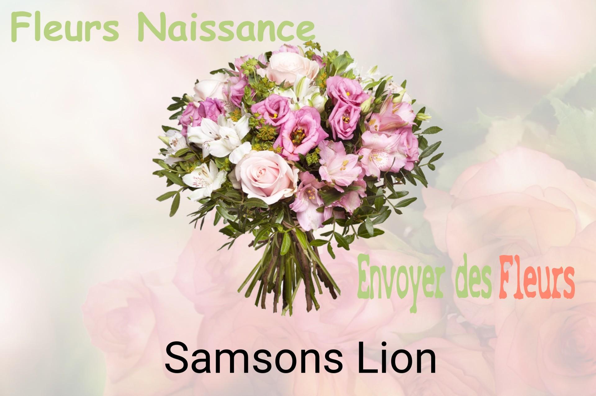 Bouquet de fleurs de naissance livré à Samsons-Lion