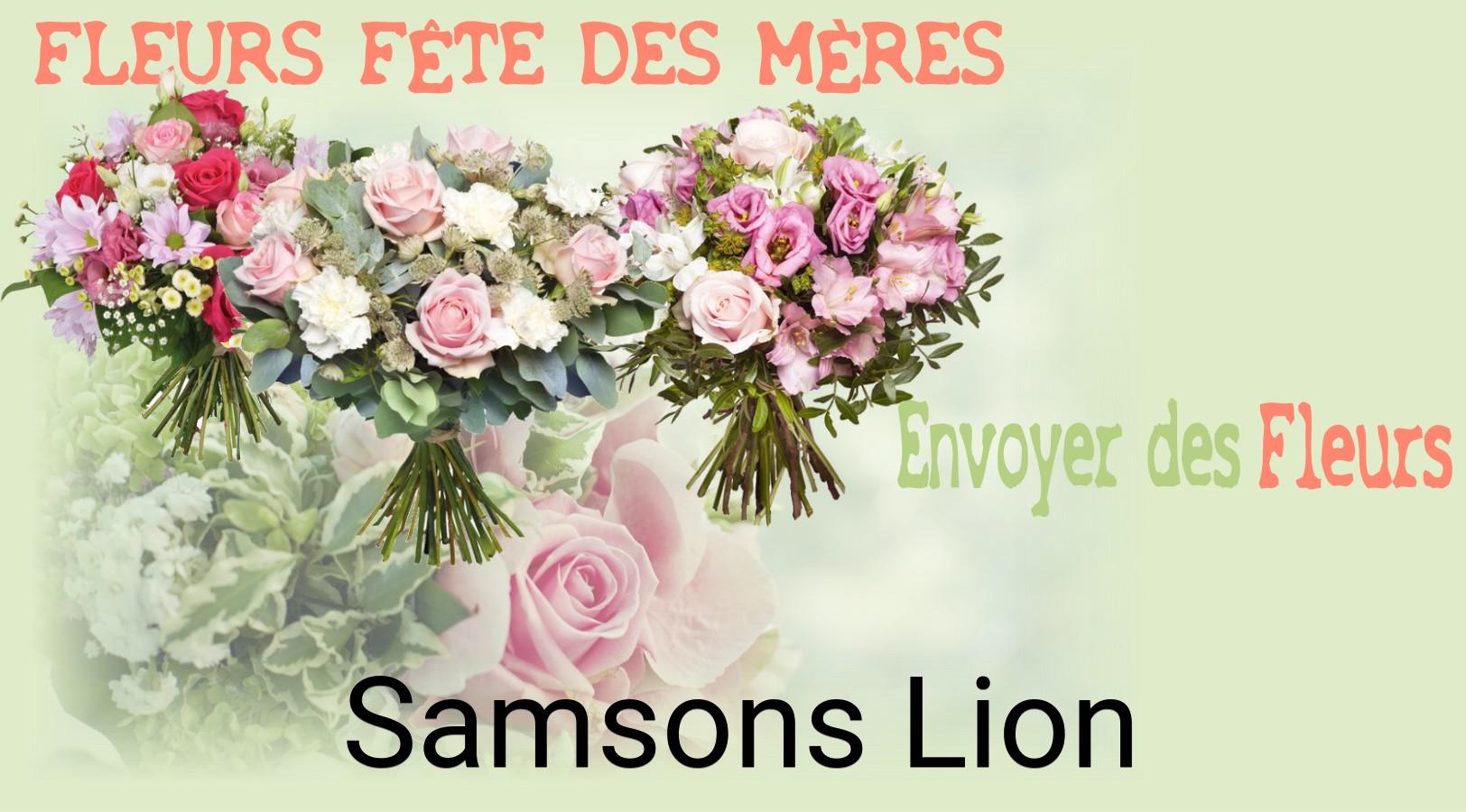 Bouquet de Fête des Mères livré à Samsons-Lion